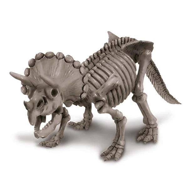 4M - Dig a Dinosaur - Triceratops image 2