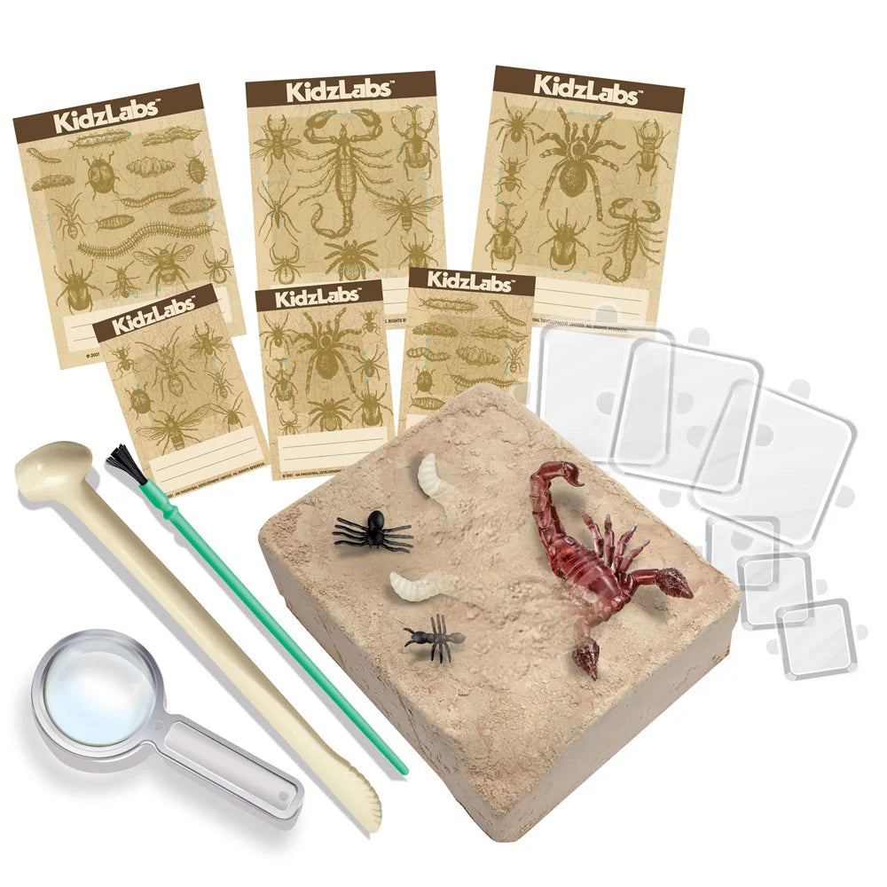 4M - KidzLabs - Creepy Crawly Digging Kit image 2
