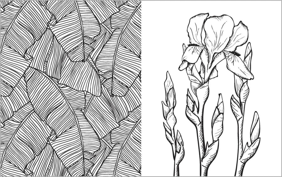 Colour Vibes - Adult Colouring Book - Botanical image 2