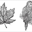 Colour Vibes - Adult Colouring Book - Nature image 6