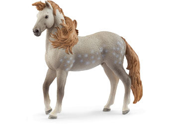 Schleich - Andalusian Stallion 2025 image 0