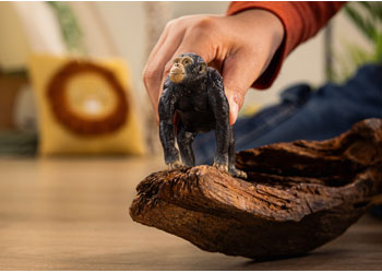 Schleich - Chimpanzee 2025 Release image 1