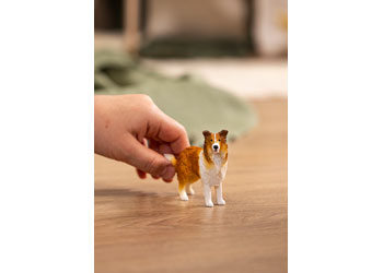 Schleich - Collie 2025 Release image 2