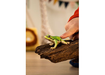 Schleich - European Tree Frog image 2