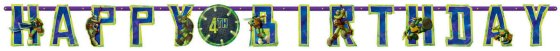 Teenage Mutant Ninja Turtles Jumbo Add-An-Age Banner image 0