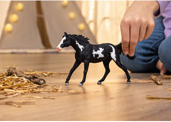 Schleich - Paint Horse Gelding 2025 Release image 1