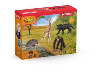 Schleich - Wild Life Safari Starter Set image 0
