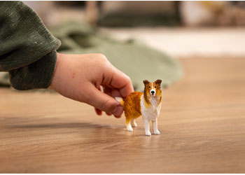 Schleich - Collie 2025 Release image 1