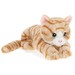 Keeleco Kitten 30cm Assorted image 2