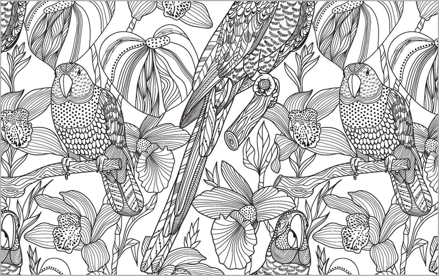 Colour Vibes - Adult Colouring Book - Nature image 1