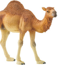 Schleich - Dromedary Camel image 0