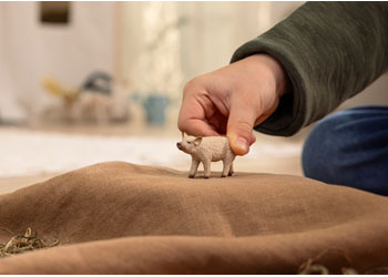 Schleich - Mangalica Piglet image 1