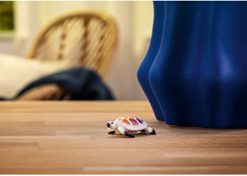 Schleich - Turtle 90 years Ltd edition image 0