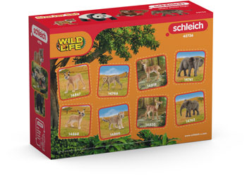 Schleich - Wild Life Asia Starter Set image 1