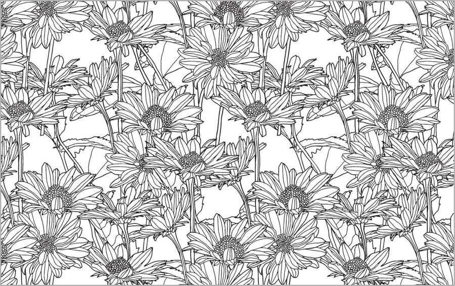 Colour Vibes - Adult Colouring Book - Botanical image 3