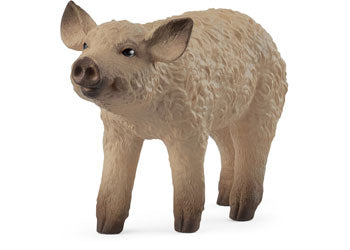 Schleich - Mangalica Piglet image 0