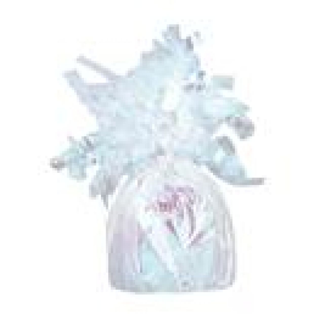 Balloon Weight image 10