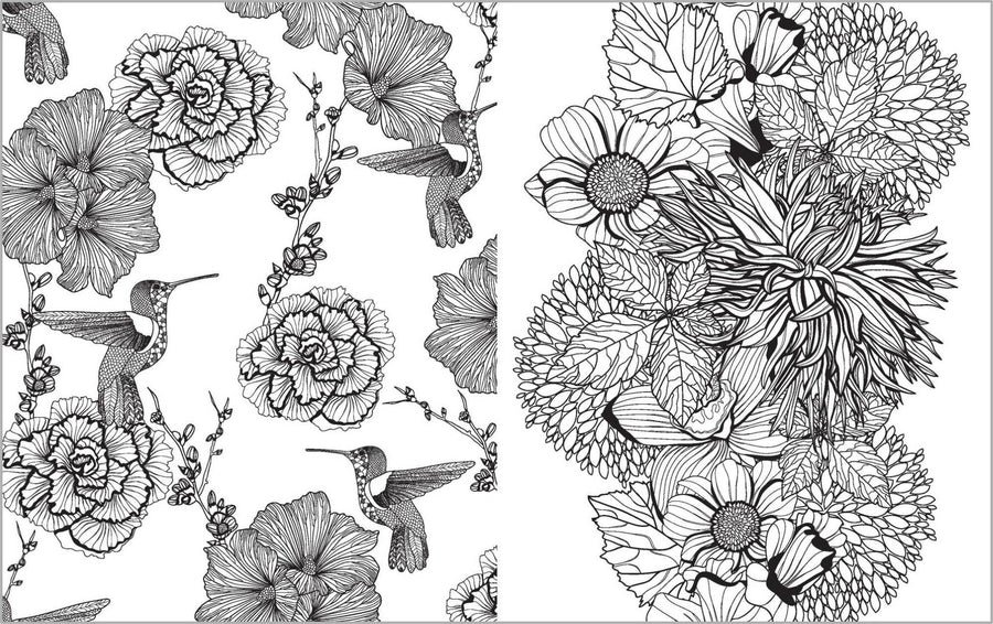 Colour Vibes - Adult Colouring Book - Botanical image 5