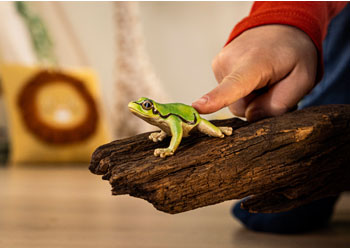 Schleich - European Tree Frog image 1